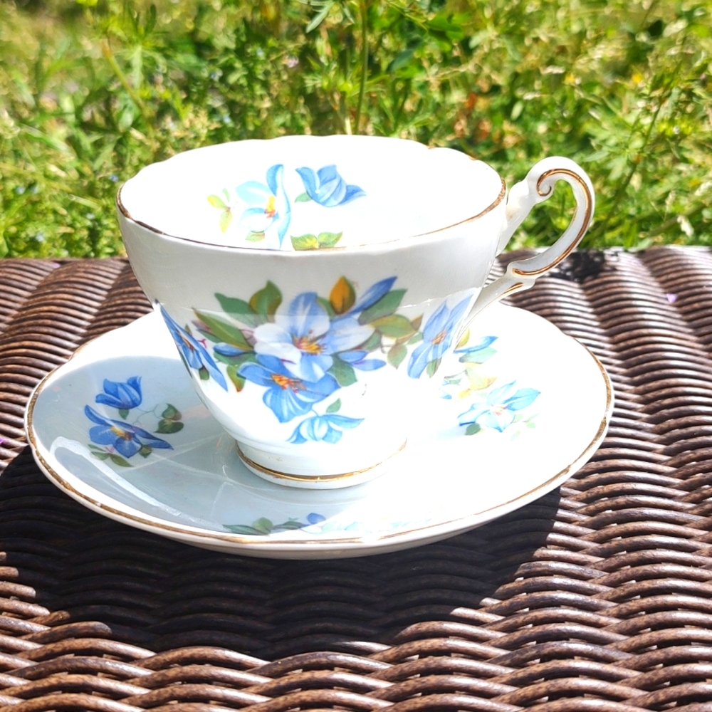 Regency Bone China Tea Cup &  Saucer made in England